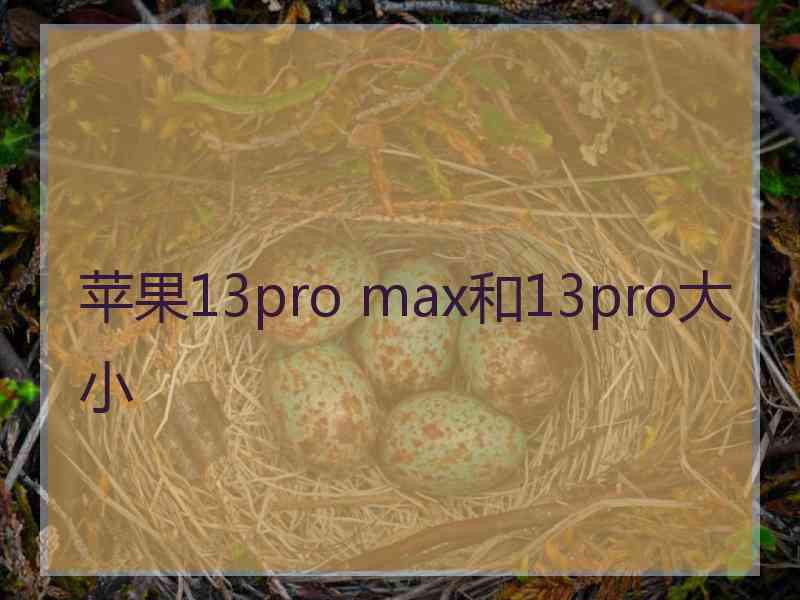 苹果13pro max和13pro大小