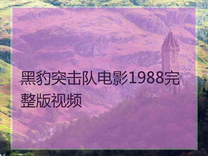 黑豹突击队电影1988完整版视频