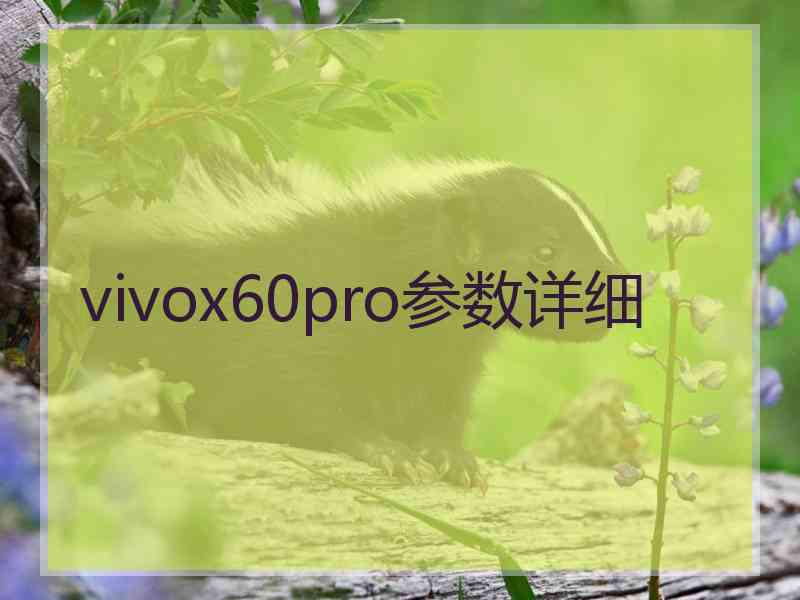 vivox60pro参数详细