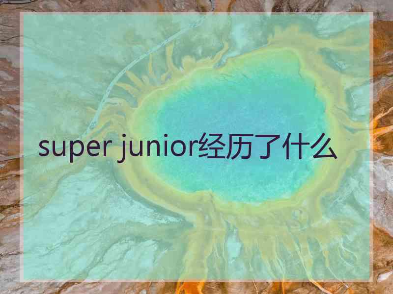 super junior经历了什么