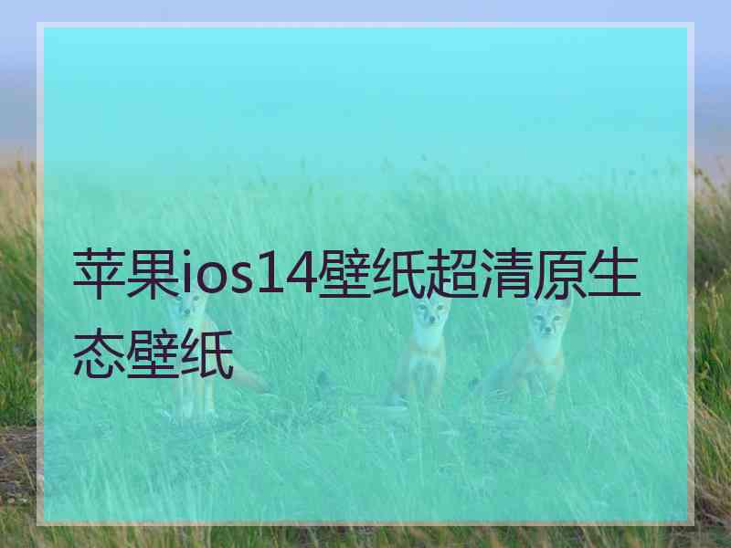 苹果ios14壁纸超清原生态壁纸