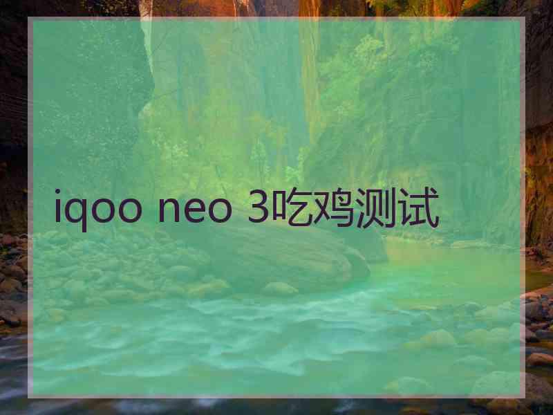 iqoo neo 3吃鸡测试