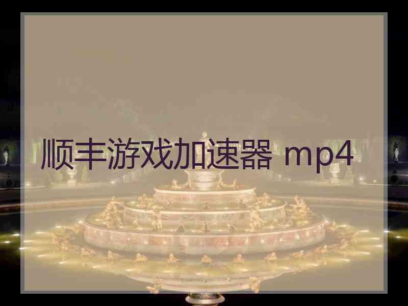 顺丰游戏加速器 mp4