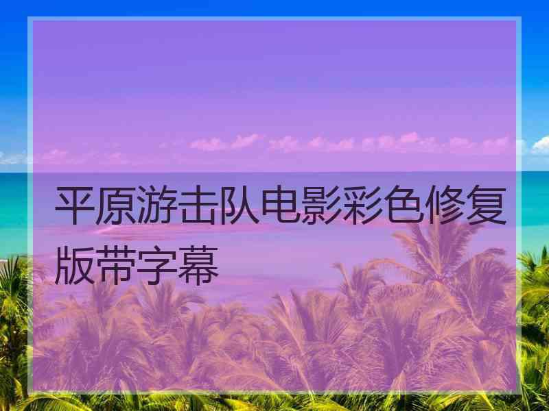 平原游击队电影彩色修复版带字幕