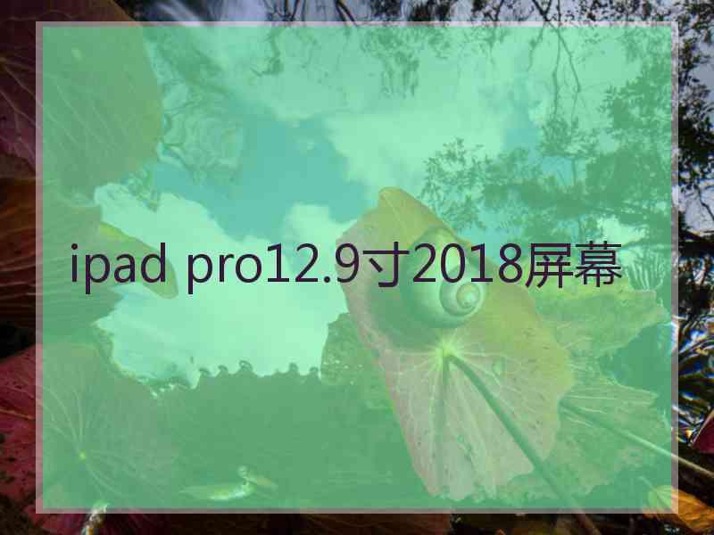 ipad pro12.9寸2018屏幕