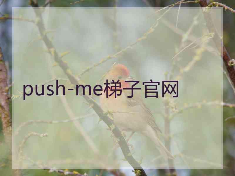 push-me梯子官网