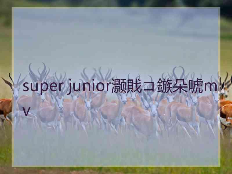 super junior灏戝コ鏃朵唬mv