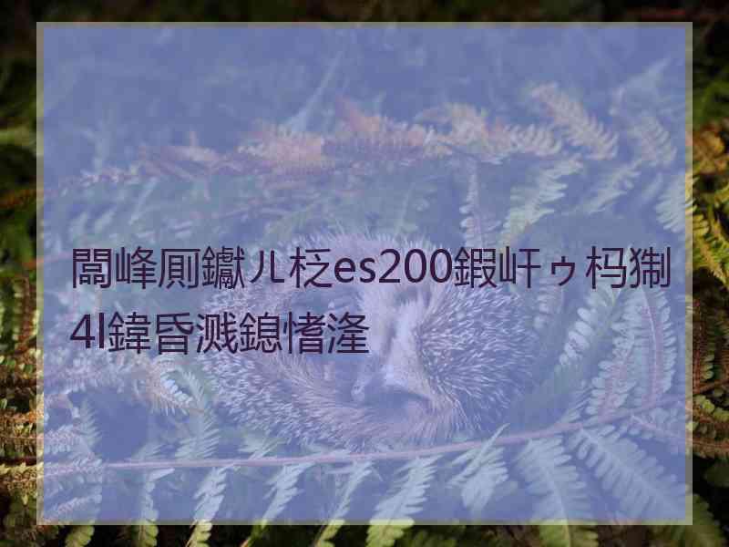 闆峰厠钀ㄦ柉es200鍜屽ゥ杩猘4l鍏昏溅鎴愭湰