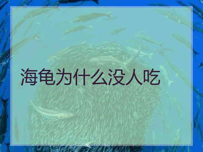 海龟为什么没人吃