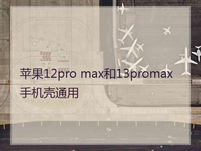 苹果12pro max和13promax手机壳通用