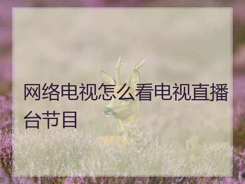 网络电视怎么看电视直播台节目