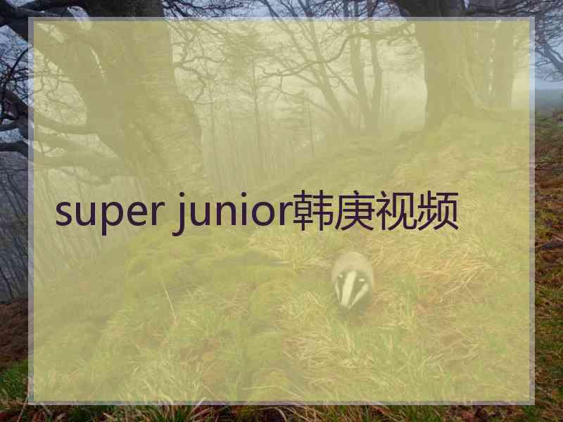 super junior韩庚视频