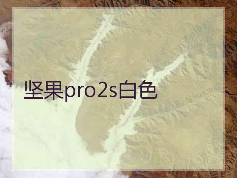 坚果pro2s白色