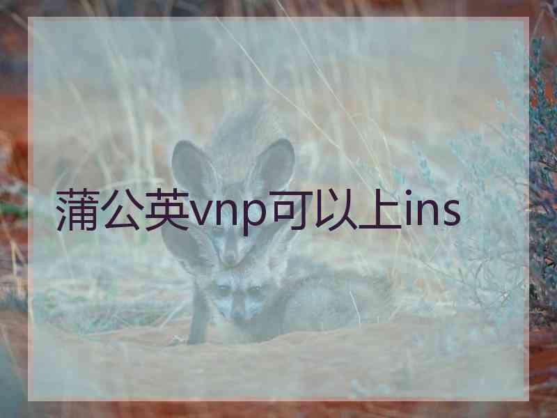 蒲公英vnp可以上ins