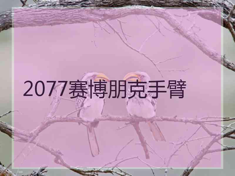 2077赛博朋克手臂