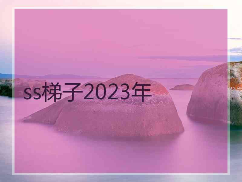 ss梯子2023年