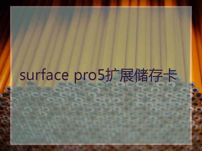 surface pro5扩展储存卡