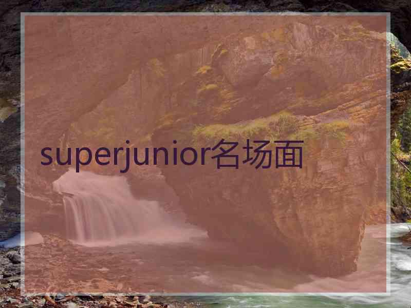 superjunior名场面