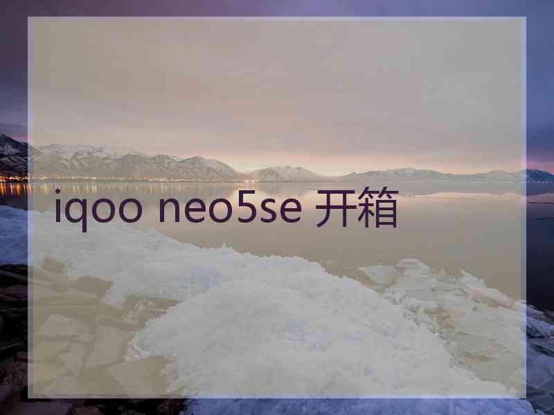 iqoo neo5se 开箱