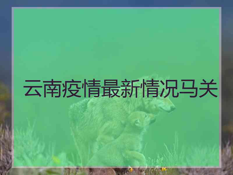 云南疫情最新情况马关