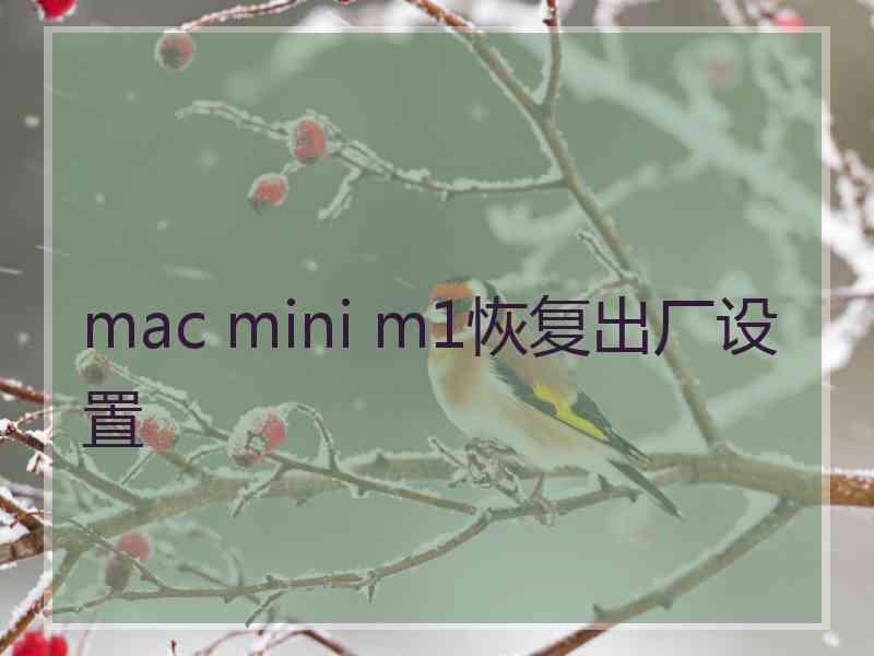 mac mini m1恢复出厂设置