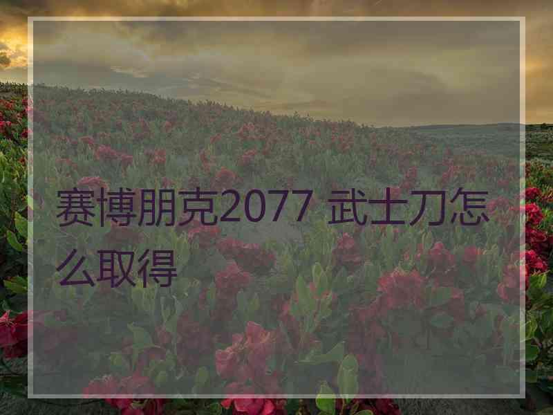 赛博朋克2077 武士刀怎么取得