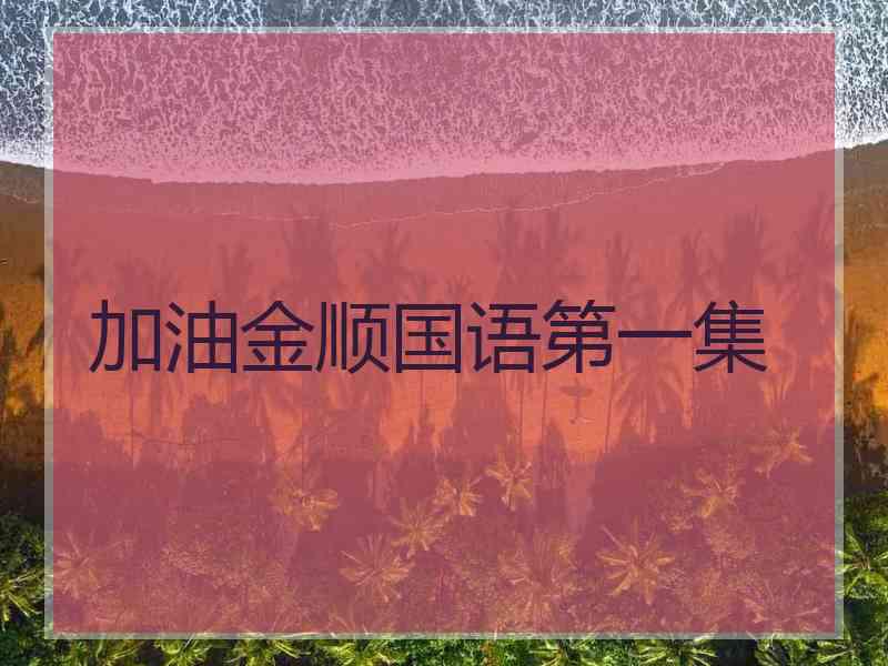 加油金顺国语第一集