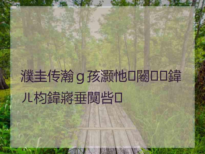 濮圭传瀚ｇ孩灏忚闂鍏ㄦ枃鍏嶈垂闃呰