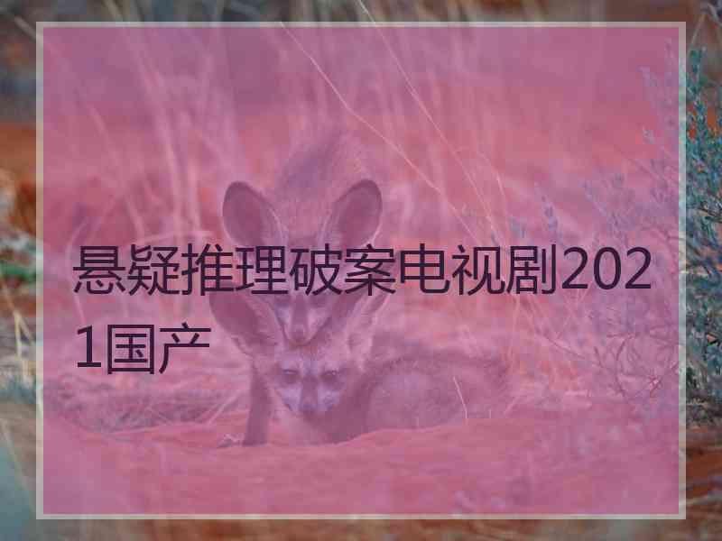 悬疑推理破案电视剧2021国产