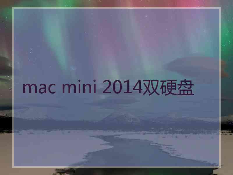 mac mini 2014双硬盘