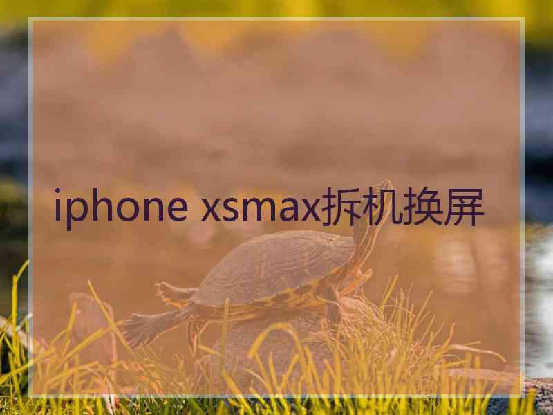 iphone xsmax拆机换屏