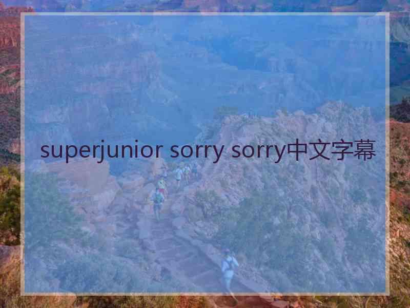 superjunior sorry sorry中文字幕