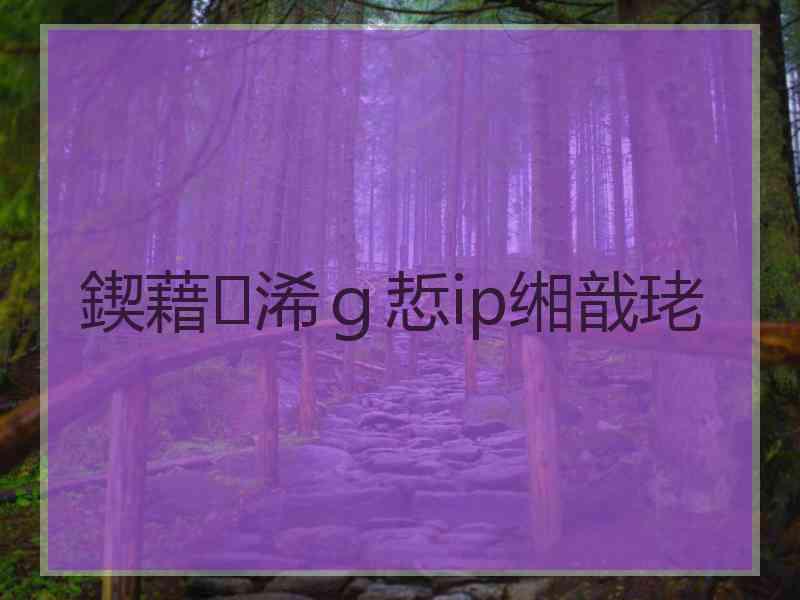 鍥藉浠ｇ悊ip缃戠珯