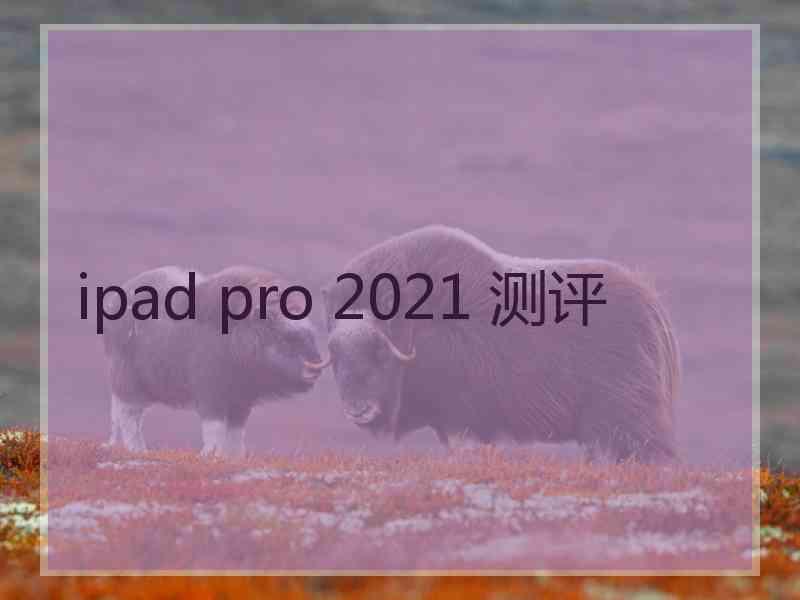 ipad pro 2021 测评