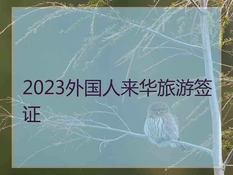 2023外国人来华旅游签证