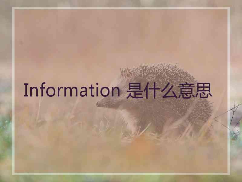 Information 是什么意思