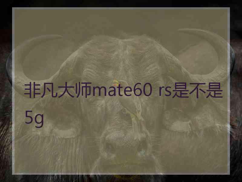 非凡大师mate60 rs是不是5g