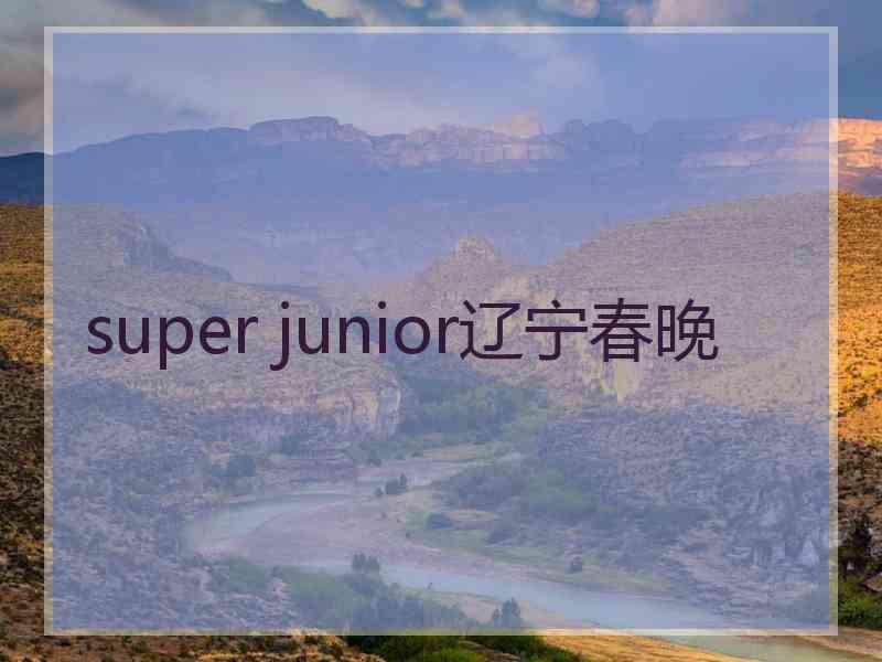 super junior辽宁春晚