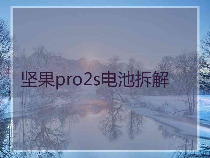 坚果pro2s电池拆解