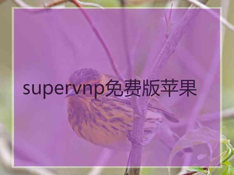 supervnp免费版苹果