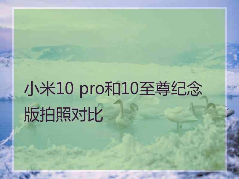 小米10 pro和10至尊纪念版拍照对比