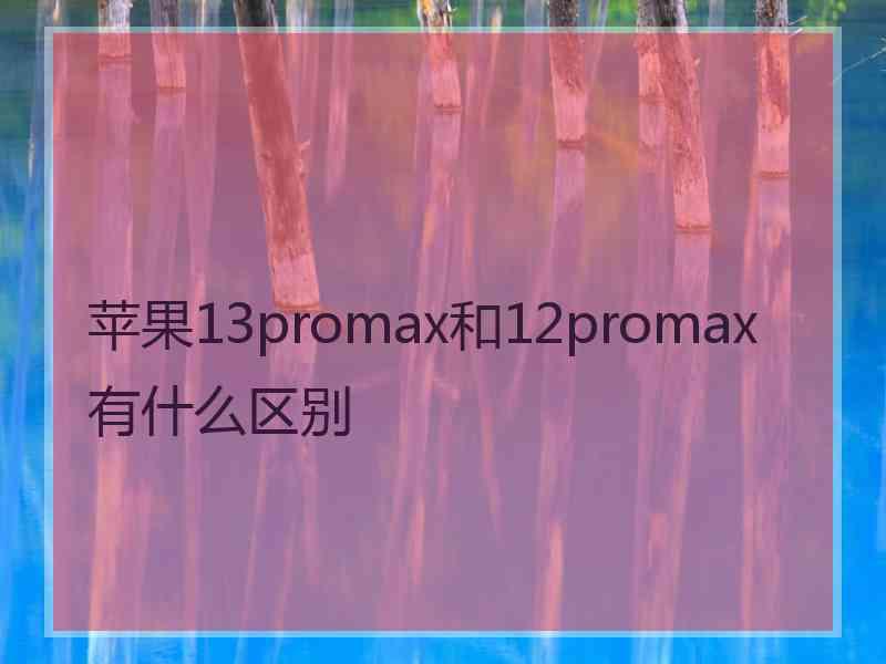 苹果13promax和12promax有什么区别