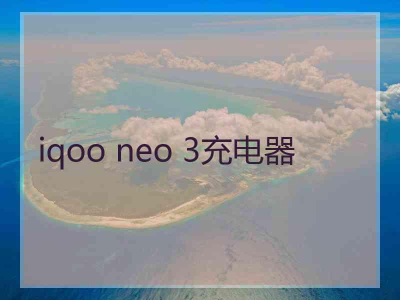 iqoo neo 3充电器