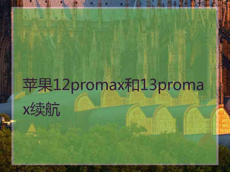 苹果12promax和13promax续航