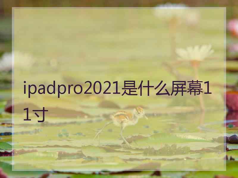 ipadpro2021是什么屏幕11寸