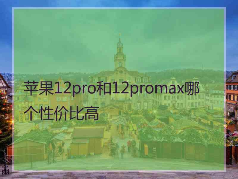 苹果12pro和12promax哪个性价比高