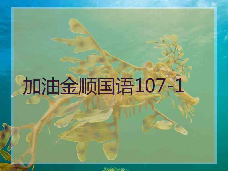 加油金顺国语107-1