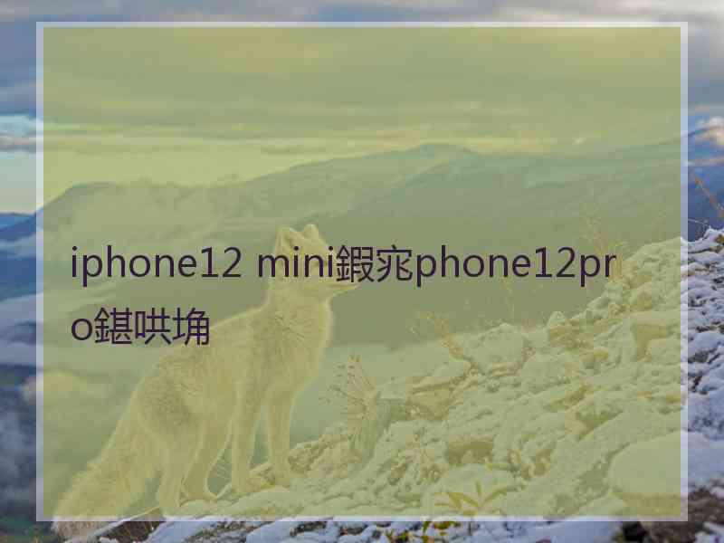 iphone12 mini鍜宨phone12pro鍖哄埆