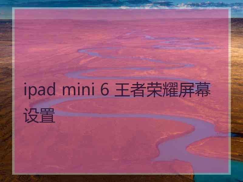 ipad mini 6 王者荣耀屏幕设置