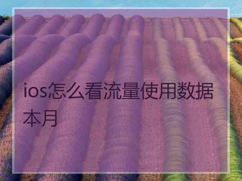 ios怎么看流量使用数据本月